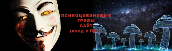 дживик Алексин