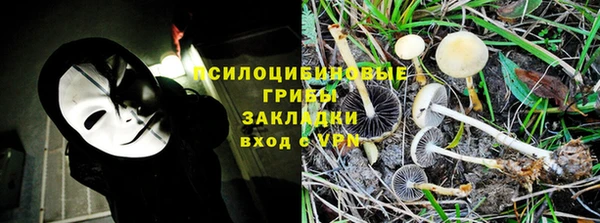 крисы Алексеевка